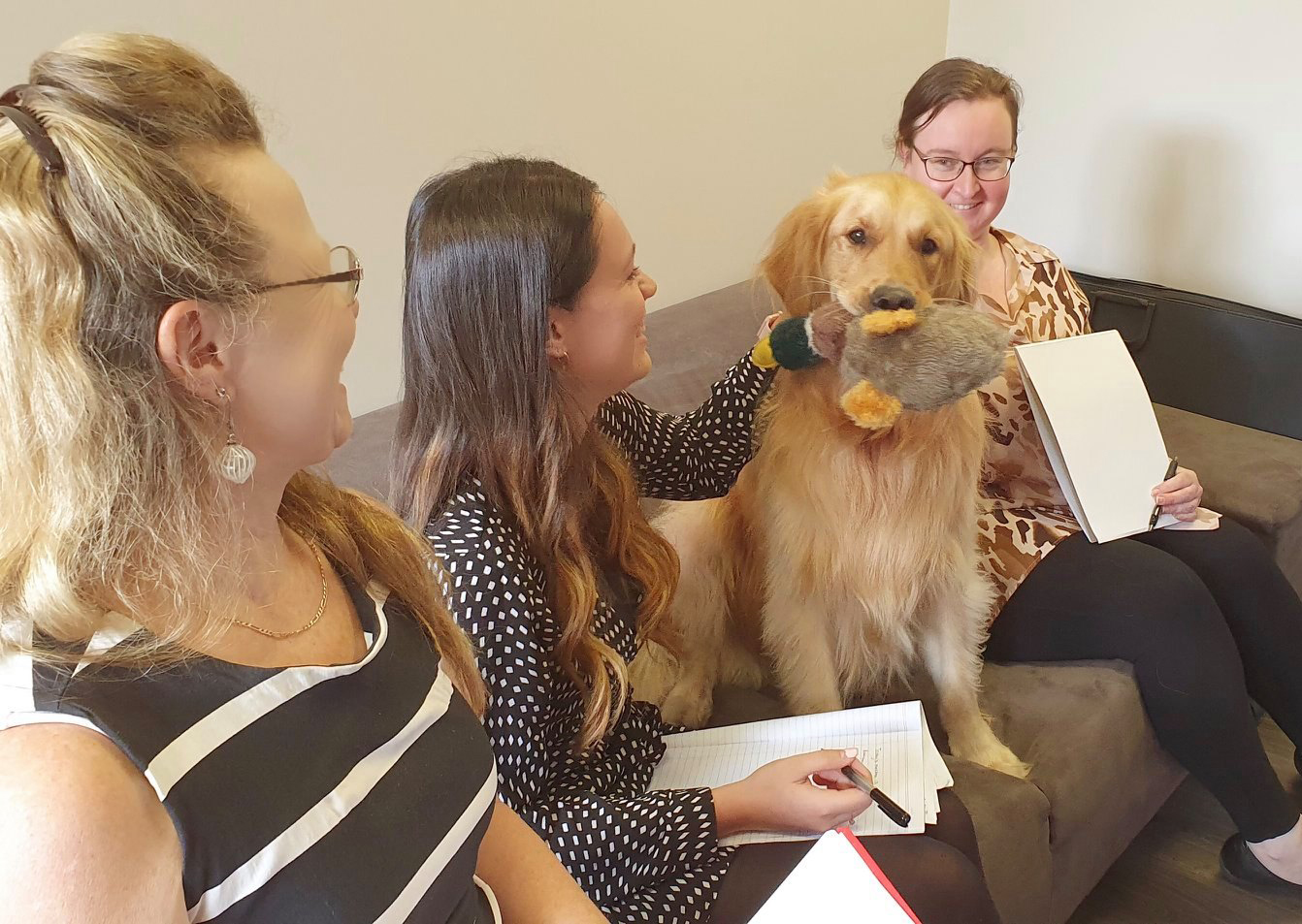 Archie in the meeting