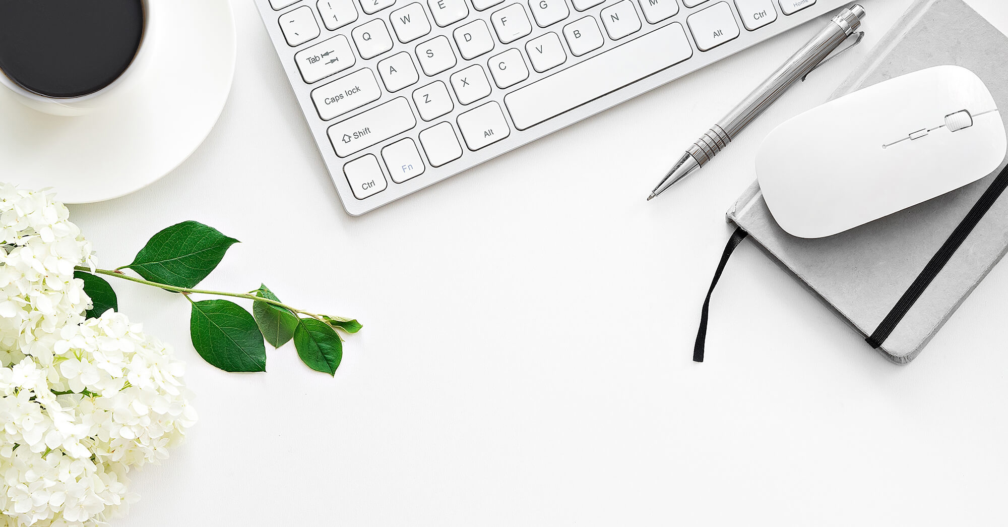 Milestone-Belanova Central Coast Marketing Agency