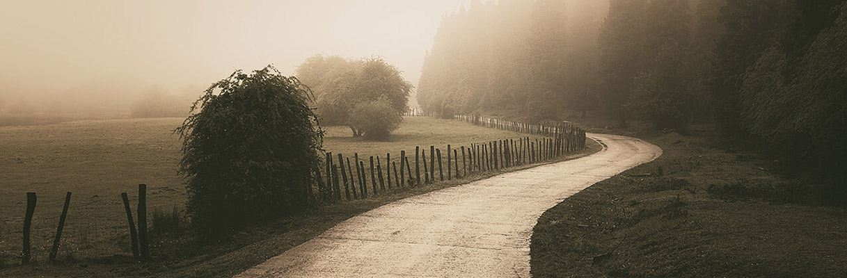 Marketing Strategy Services