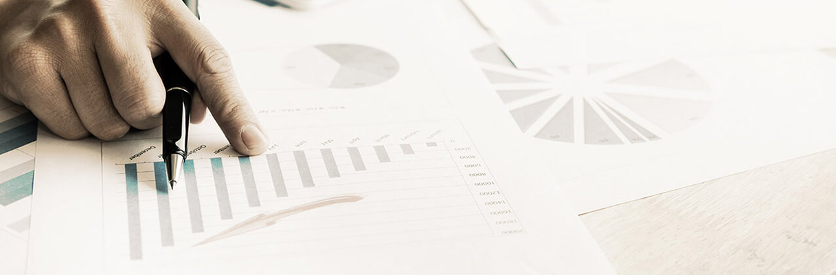 Search Engine Optimisation Services